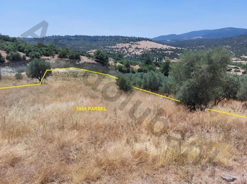 Bankadan Satılık Tarla