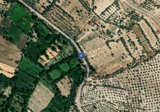 Satılık Zeytinlik